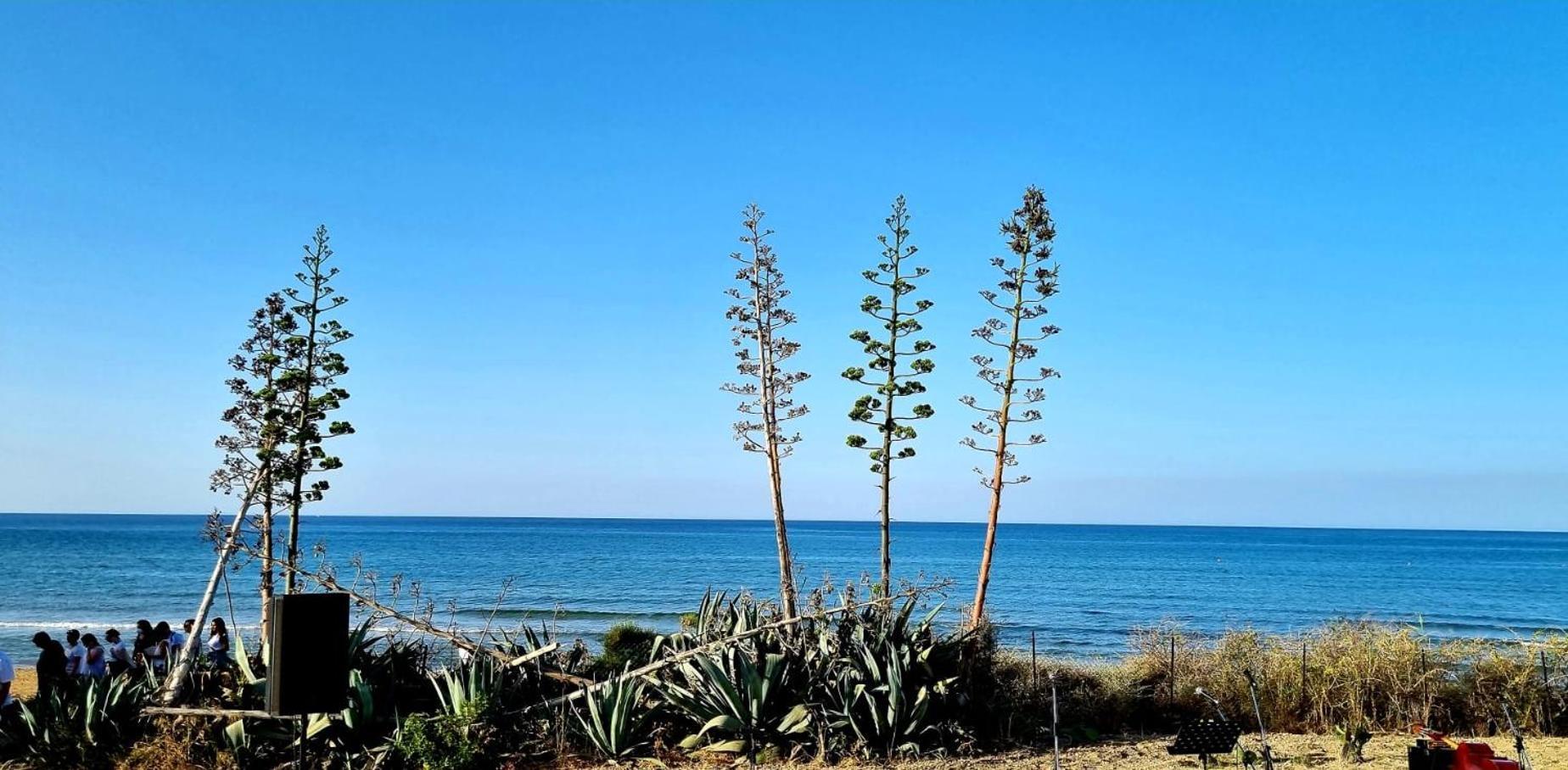 Casa Vacanza Nonna Nena بورتو إمبيدوكْلي المظهر الخارجي الصورة